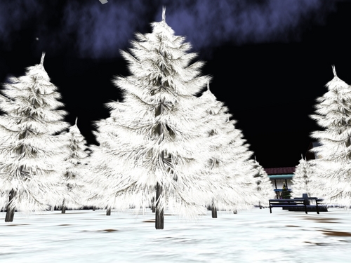 **新作** White Tree Set