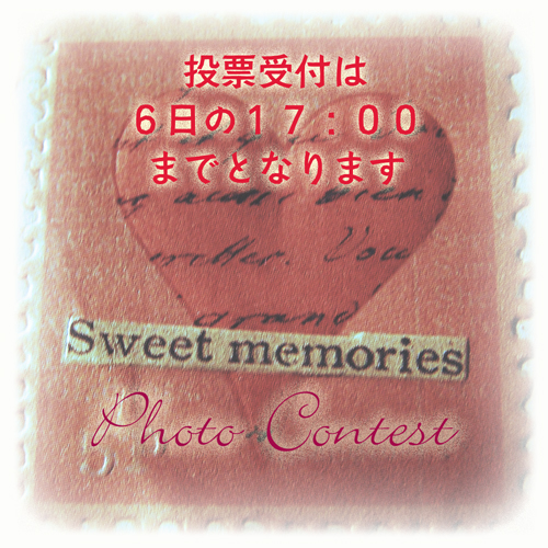 投票期限は明日の17:00まで
