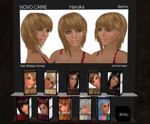 NOVO CAINEグランドオープン