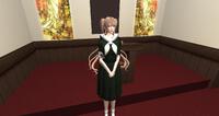 散策レポート　2024/06