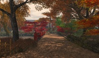 「京都、八坂神社の秋」 @ Kyoto