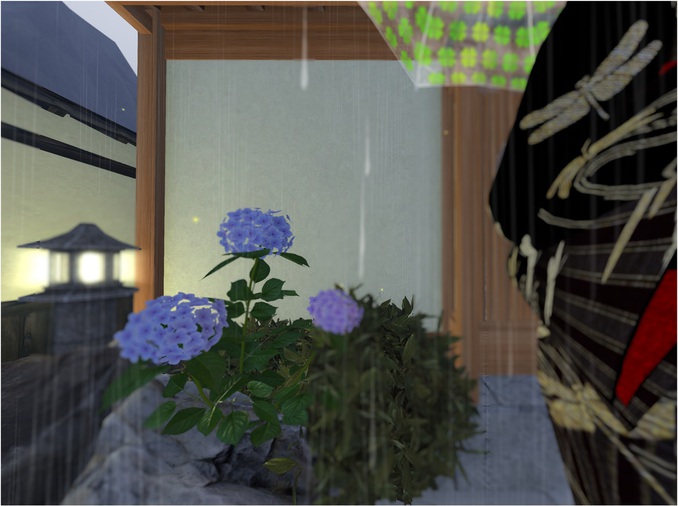 「梅雨と紫陽花の花」@ Kyoto