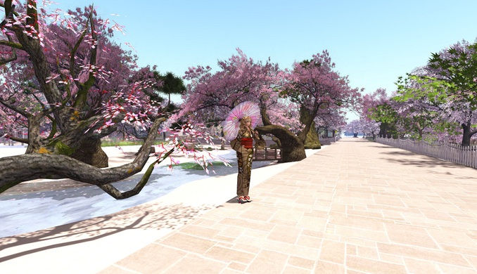「桜と日傘」 @ Miyazaki NX