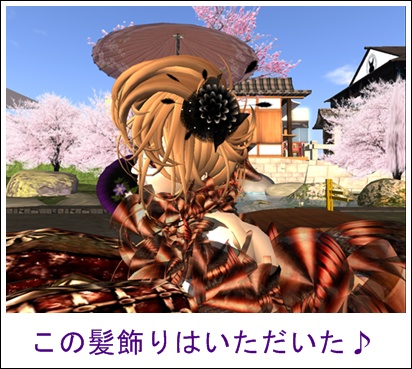 大好きショップ♪