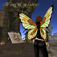 Wing of fairy 2