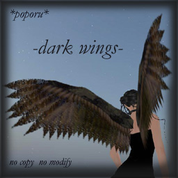 堕天使　-Dark wings-