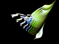 翼　Fractal Gallery No21