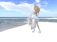 Classic Design Dress