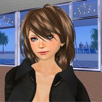 スキン変えてみました