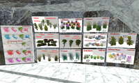 期間限定　花・植物・滝などが無料！