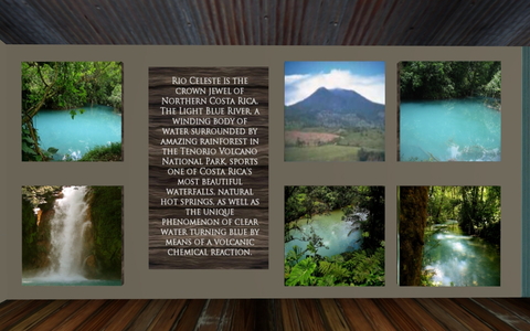 The Rainforest / Costa RicaII