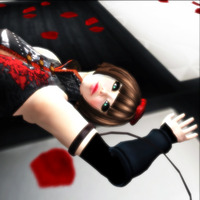 お久しぶりにいつも通り画像を放置しておいてみる。