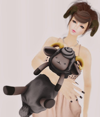 Zodiac 2013/03/29 14:55:19