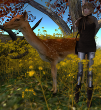 GIFT&HUNT 2012/11/09 12:19:07