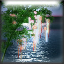 七夕。 2011/07/07 00:01:00