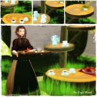 カフェハント♪ 2012/01/18 21:44:29