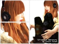 [眼鏡とヘッドホンのお店]Strange Beastsさん 2012/02/26 11:21:00