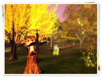 feastの紅葉 2012/09/22 23:48:30