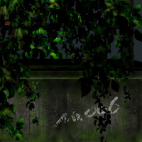 11月　ホラーイベント。。 2010/10/30 01:38:09