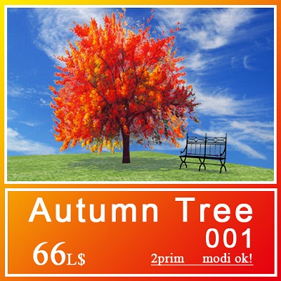 人気の秋の木♪3種＾＾