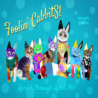 Foolin' Cabbits　1/3