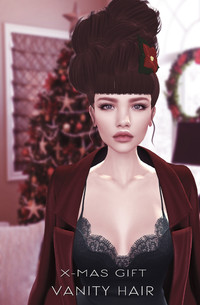 VANITYHAIR@XMAS GIFT 2017/12/25 21:44:55