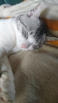 ふと思う事