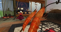 ㊿の⑪Blender　３０日までに正月のお飾りしましょ！ 2014/12/27 00:02:00