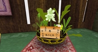 ㊿の⑮Blender　えええ！七草だ！ 2014/12/31 00:02:00