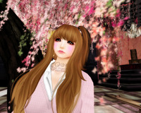 JKの春 2012/03/24 00:34:02