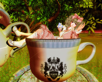 SS撮影用♪ 2012/02/24 22:30:00