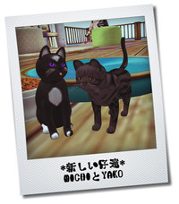 Cafeおーぷんしてます。 2012/06/08 22:30:25