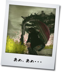 カフェあけます～(ﾉ∀｀*) 2012/04/13 15:19:15