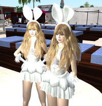 B@Rのフリーのバニーガール 2010/04/12 11:00:00