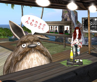 SOFA営業日 4/14 2010/04/15 11:00:00
