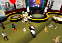 ゆきうさのままライブに行った 2009/12/04 11:00:00