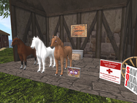 **Amaretto Horse Sales** 2011/04/24 11:15:08