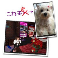 ｹﾞｯﾄまであと、4人！　 2009/12/15 09:42:43