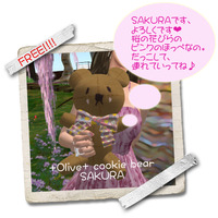 フリーのくま
