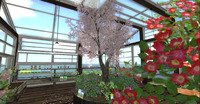 frog's garden 2011/11/27 12:03:00