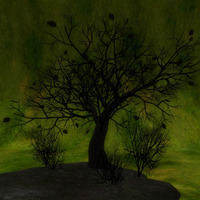 ハロウィンに１L＄のBlack Tree 2012/10/14 13:31:03