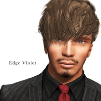 Edge Violet REZDAY 2017/01/31 23:11:47