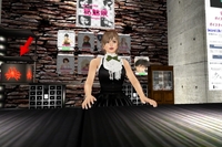 一人で店番中～！ 2010/06/01 23:34:34