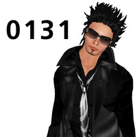 0131 2010/02/01 02:21:42