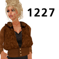 1227 2009/12/27 13:32:54