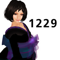 1229 2009/12/29 15:58:33