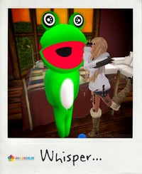 VOONERさんちのツトム君（勝手に命名） 2011/10/26 19:45:01