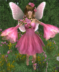 可愛い♡コスプレ・妖精 2010/05/01 18:55:55