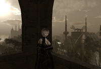 悪魔狩りRP 2010/01/06 00:13:37