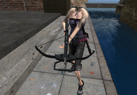 BlackOps Crossbow 2010/05/15 00:05:44